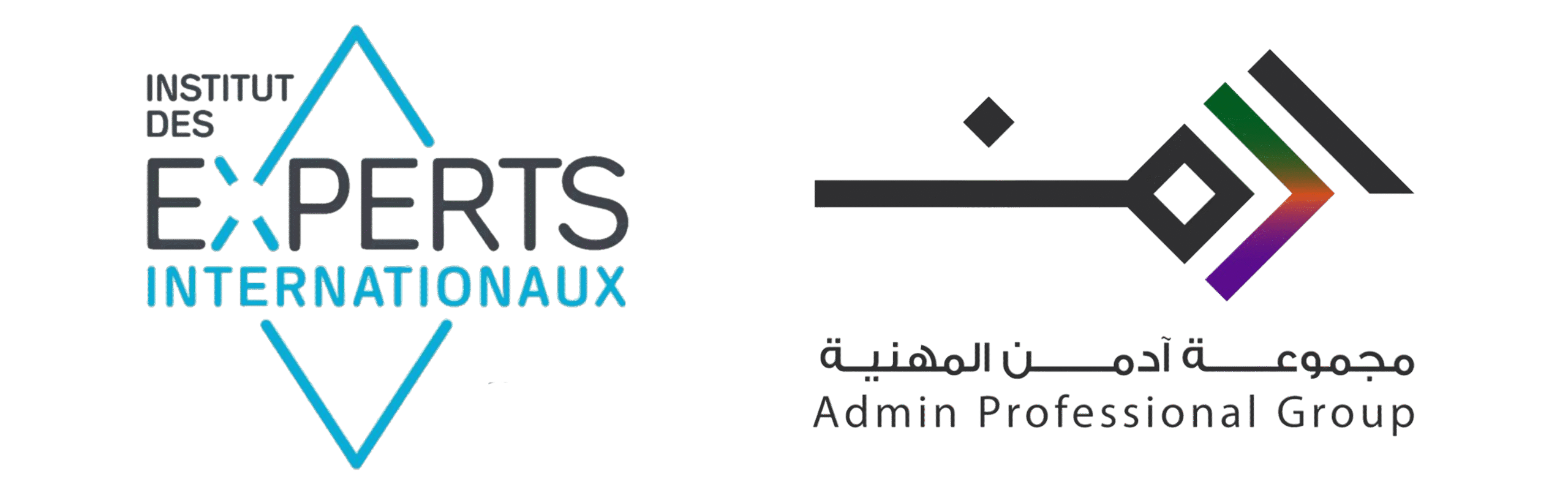 معهد الخبراء الدوليين